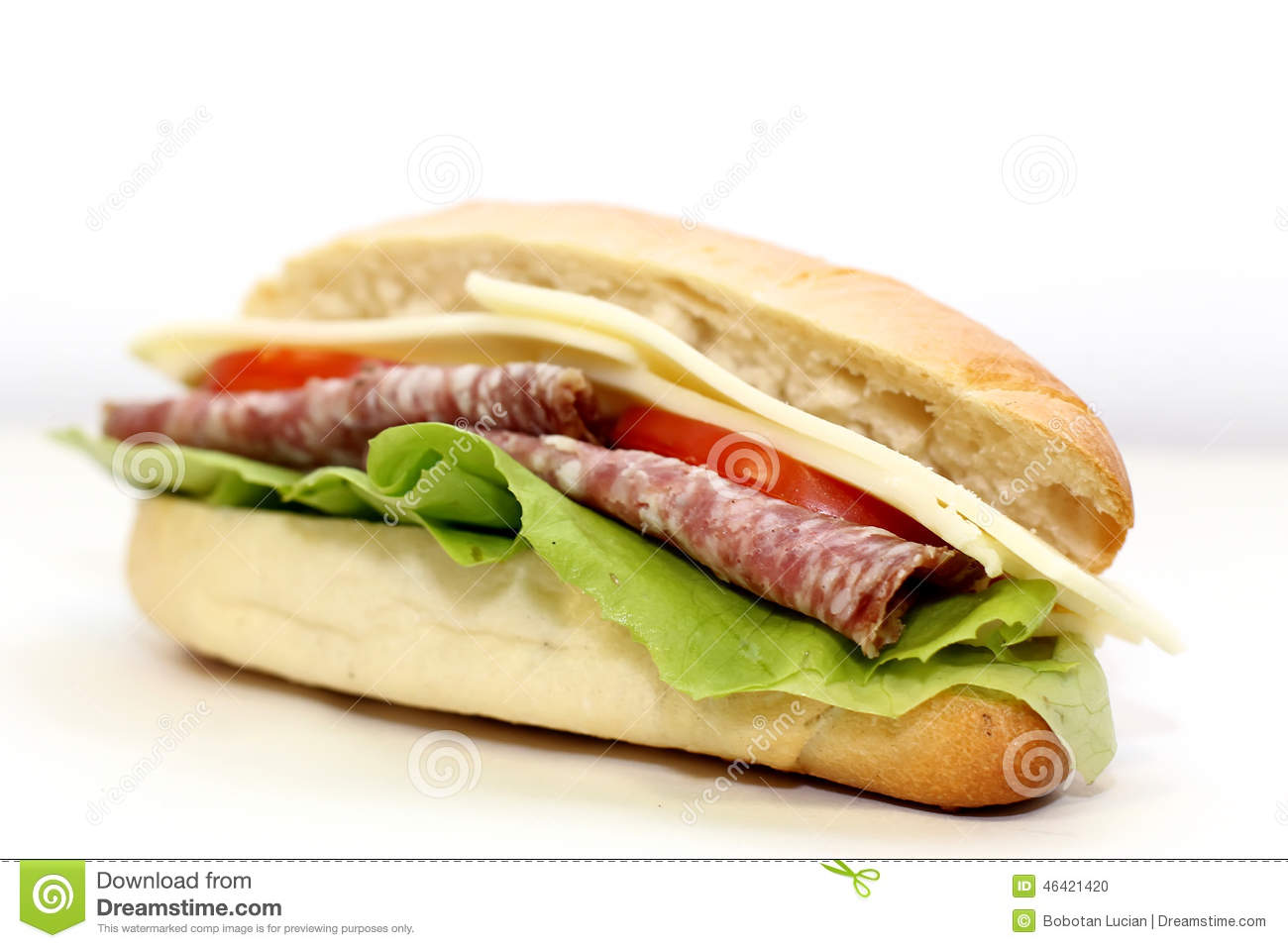 Italian Sandwich With Salami On White 