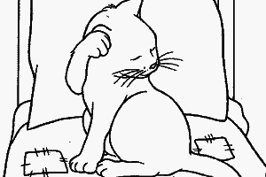 Primping Kitten Coloring Page Primping Kitten Coloring Page Is One