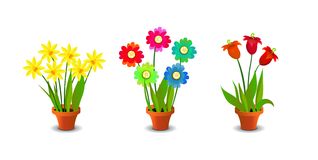 Bright Colorful Flowers Clip Art Stock Images