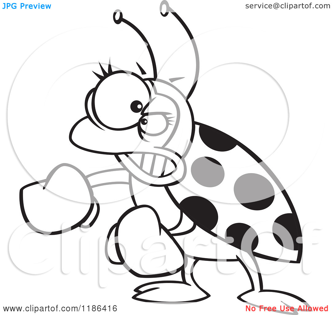 Cartoon Of A Black And White Mad Ladybug With Boxing Gloves   Royalty    