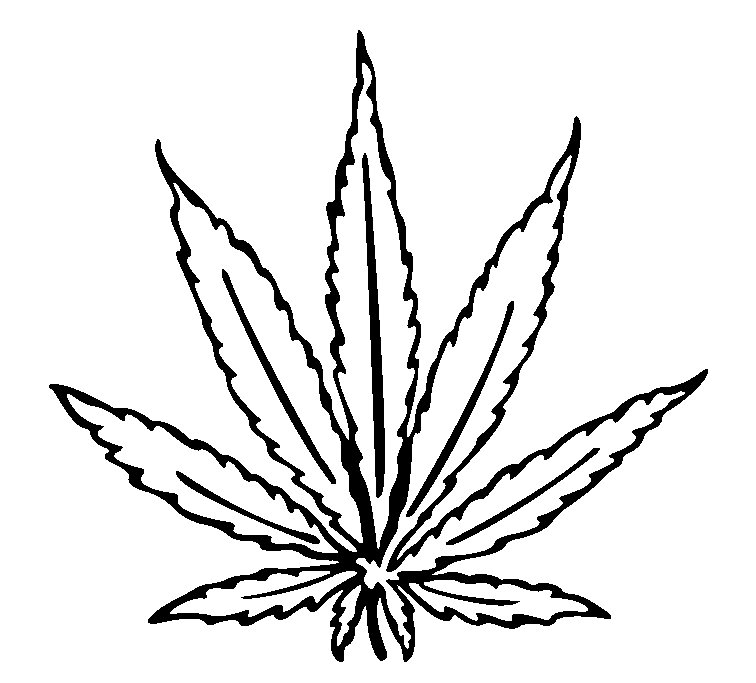 Cannabis Leaf Drawing I   Free Images At Clker Com   Vector Clip Art