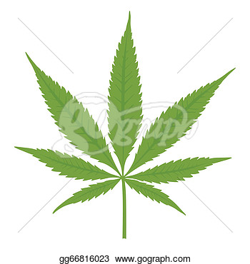 Clipart   Vector Cannabis Leaf On White Background  Marijuana   Stock