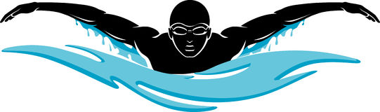 Freestyle Swim Stock Illustration   Image  39853543