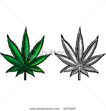 Marijuana Leaf And A Black And White Marijuana Leaf Or Cannabis 110901