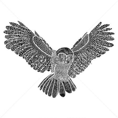 Animals   Wildlife   Owl Flying Black And White Drawing Vectorized