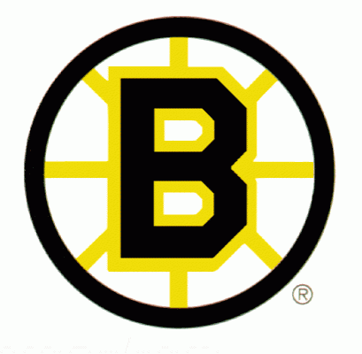 Boston Bruins 1993 94 Hockey Logo Of The Nhl