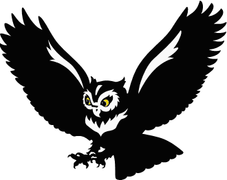 Flying Owl Black And White Images   Pictures   Becuo