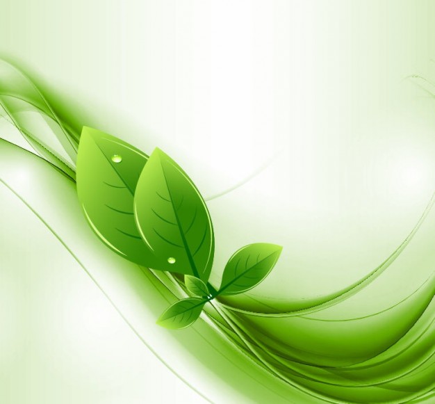Folhas Eco E Vetor De Onda Verde   Logotipo Gr Tis   Imagens    