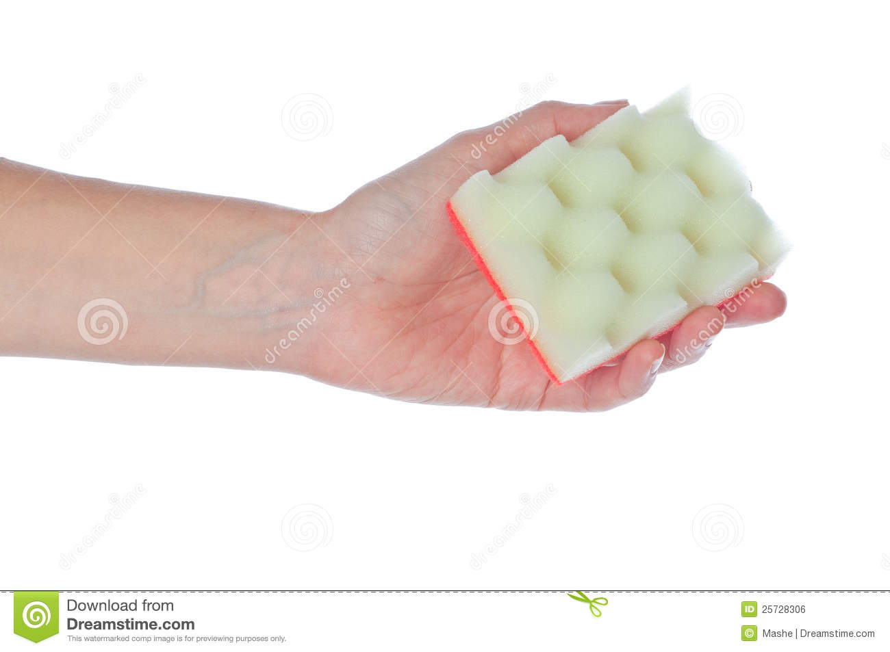 Gloved Hand Holding A Kitchen Sponge Isolated On A White Background