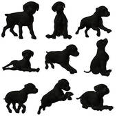 Puppy Black Labrador   Royalty Free Clip Art