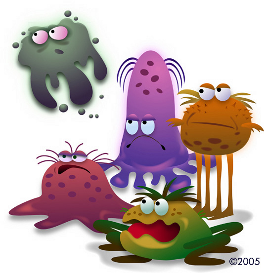 Re New You   From The Inside Out   Germs
