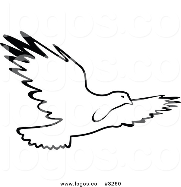 Royalty Free Vector Of A Black And White Bird Flying Logo By