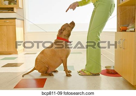     Search Stock Photography Posters Pictures And Photo Clipart Images
