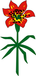 Western Red Lily Saskatchewan Clip Art