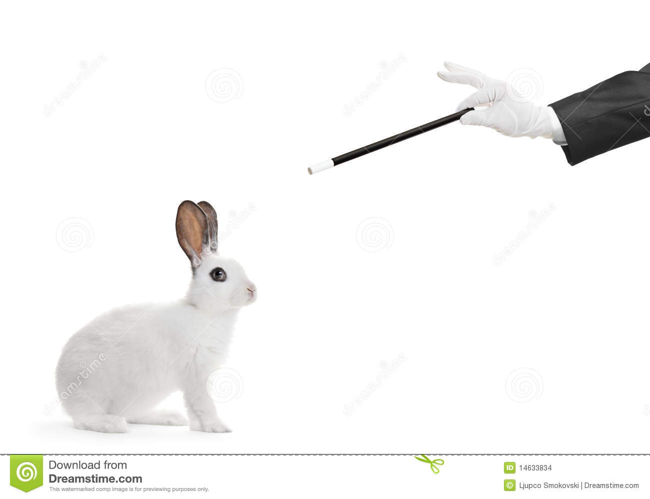 White Rabbit And A Hand Holding A Magic Wand Stock Images   Image