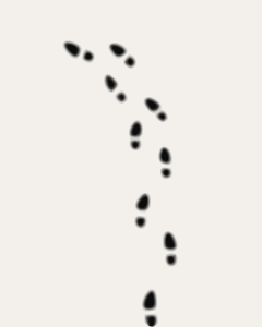 Footprints Clip Art At Clker Com   Vector Clip Art Online Royalty