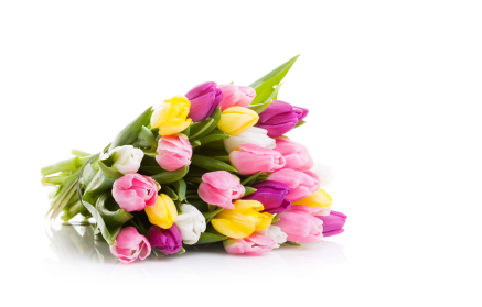 Image Of Mother S Day Tulips Bouquet Flower
