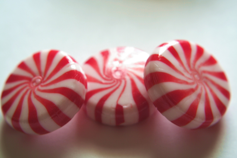 Photo Image  Red And White Spiraled Peppermint Candy 