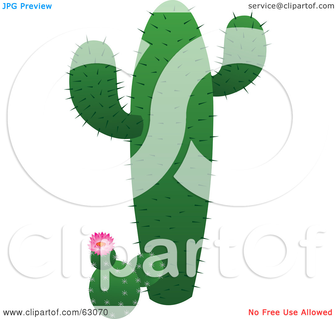 Tall Green Cactus With A Short Flowering Cactus By Rosie Piter  63070