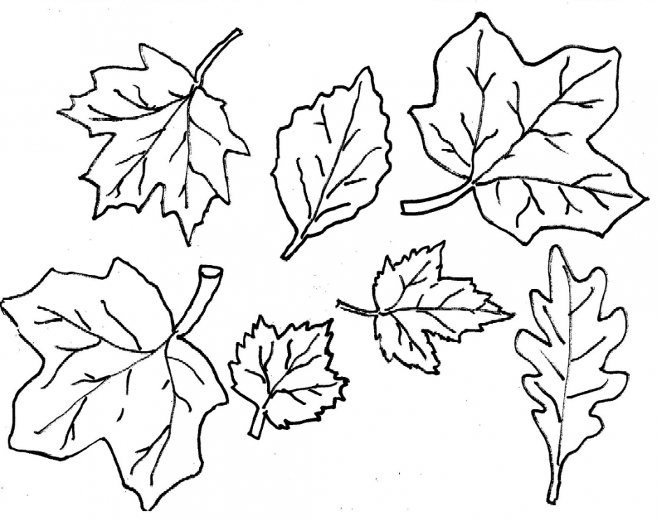 Autumn Leaves Coloring Pages   Az Coloring Pages