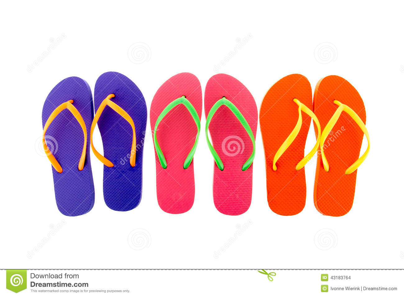 Colorful Flip Flops Stock Illustration   Image  43183764