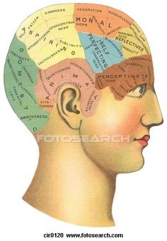 Different Psychological Areas In The Brain Cir0120   Search Clipart