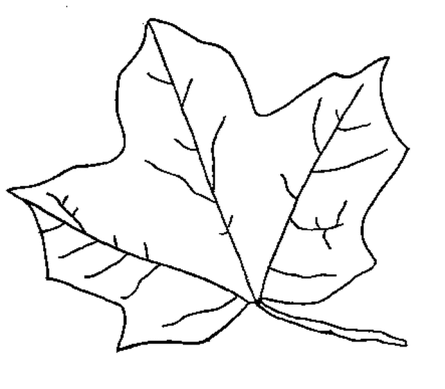 Fall Leaf Coloring Pages   School Projects Car Trip Activity