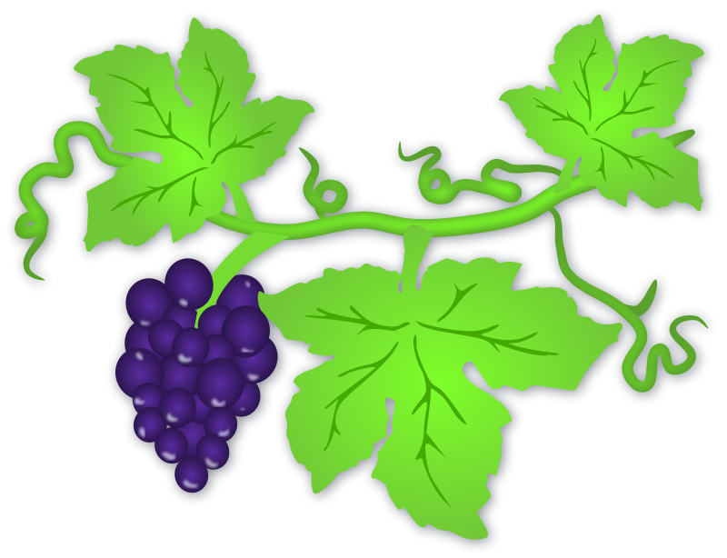 Grape Leaf Png   Free Cliparts That You Can Download To You Computer
