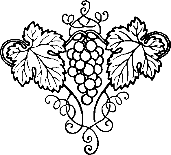 Grape Vine Drawings Free Cliparts That You Can Download To You