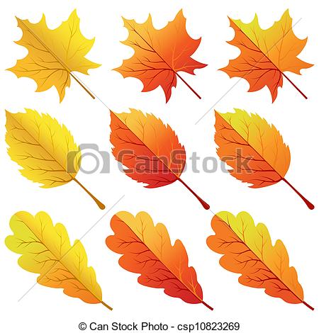 Vector   Collection Of Color Autumn Leaves   Stock Illustration
