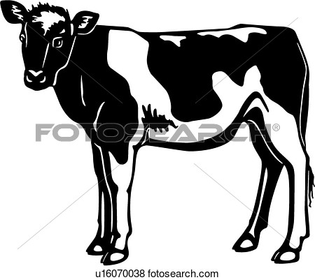 Breeds Cow Farm Holstein Livestock   Fotosearch   Search Clipart