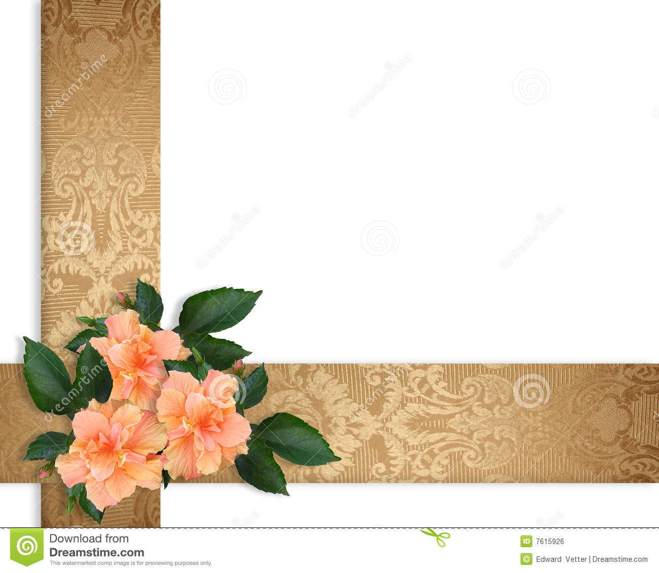 Hibiscus Flowers Border Elegant Royalty Free Stock Image   Image