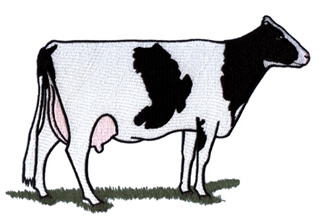 Holstein Cow Clipart   Free Clip Art Images