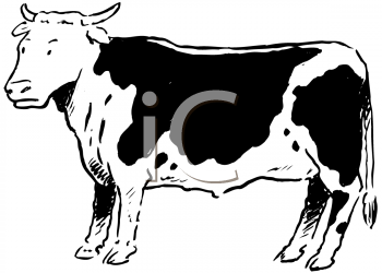 Holstein Cow Clipart Holstein Cow Clipart Cow On Farm Clip