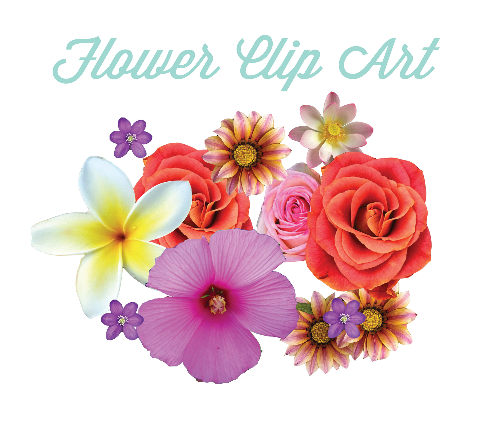 June Flowers Clipart Flower Clip Art