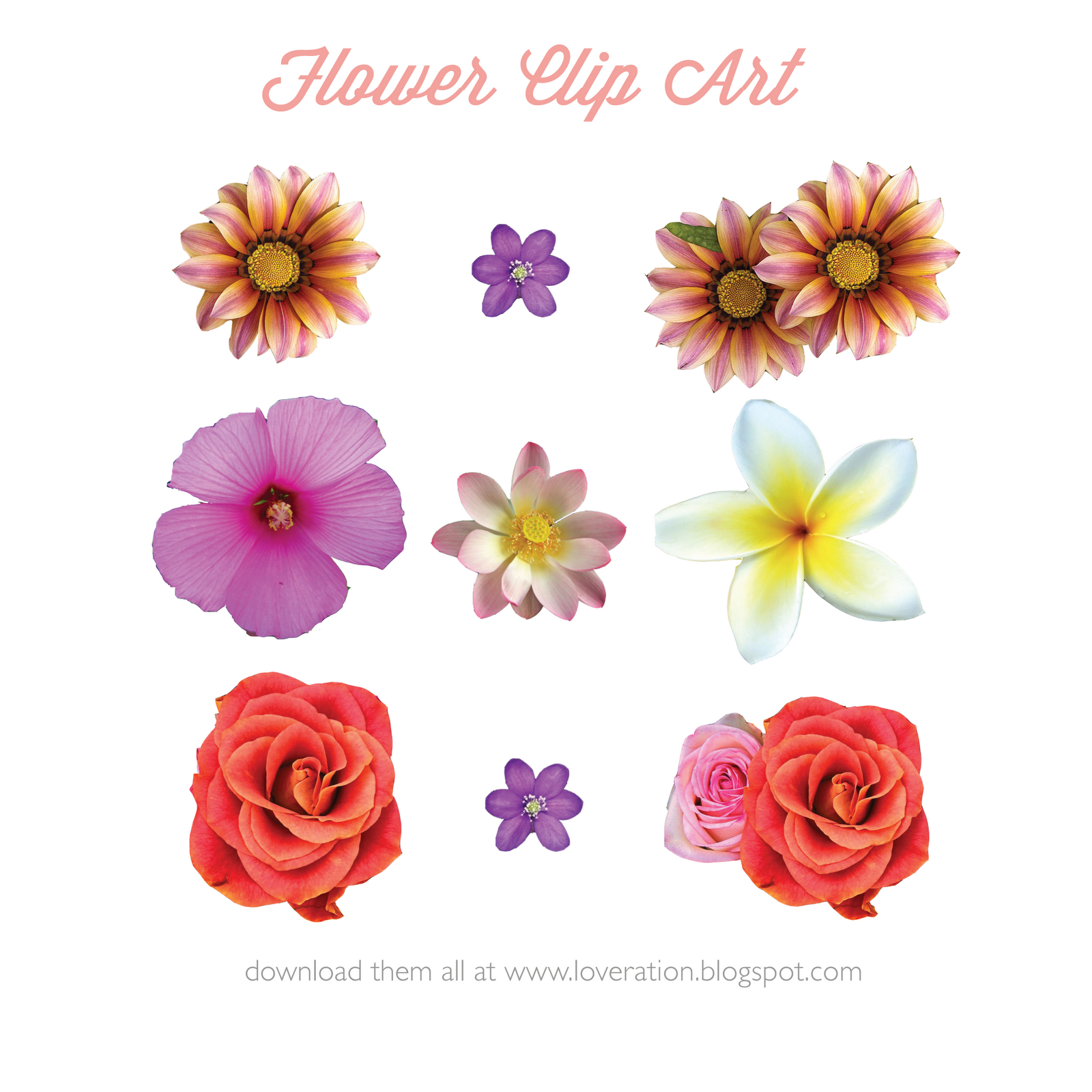 Loveration  Flower Clip Art