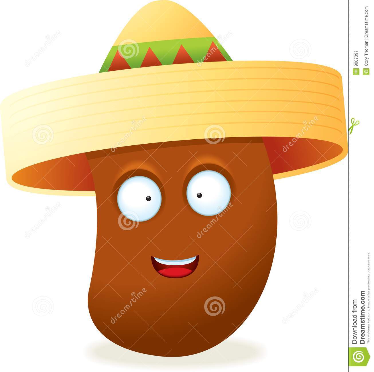 Mexican Jumping Bean Royalty Free Stock Photography   Image  9067097