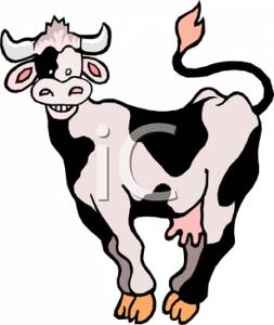     Of A Holstein Cow Swishing Its Tail   Royalty Free Clipart Picture