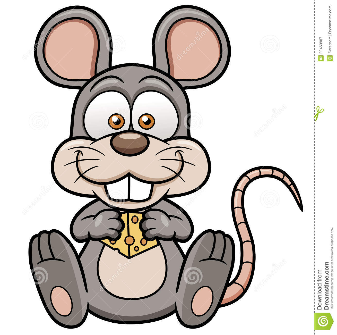 Cartoon Rat With Cheese Royalty Free Stock Photography   Image    