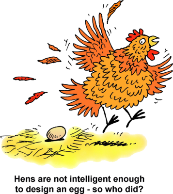 Clipart This Chicken And Egg Picture Is Funny We Owned Chickens For A