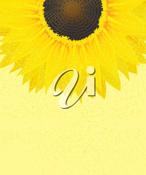 Iclipart   Decorative Sunflower On A Sunny Background With Copy Space
