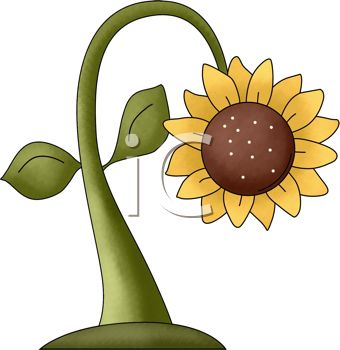 Iclipart   Royalty Free Clipart Image Of A Drooping Sunflower