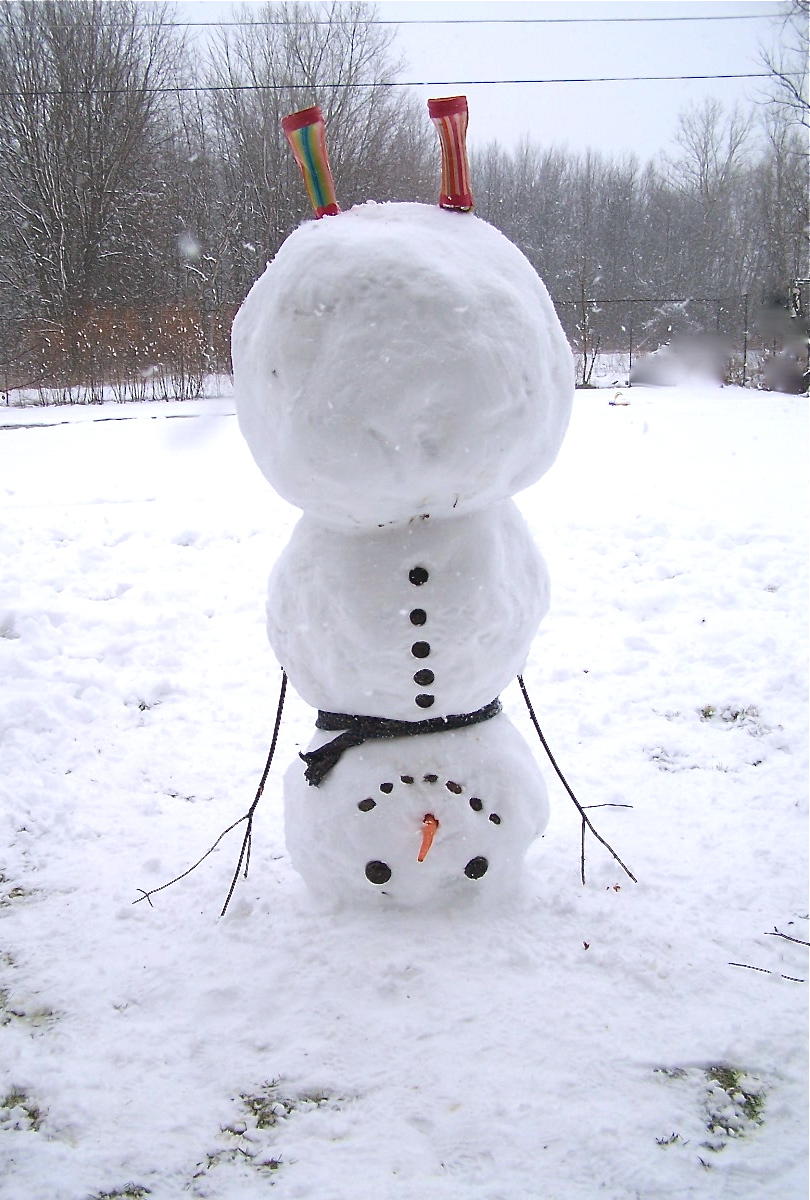 We Finally Got Enough Snow To Make A  Upside Down  Snowman