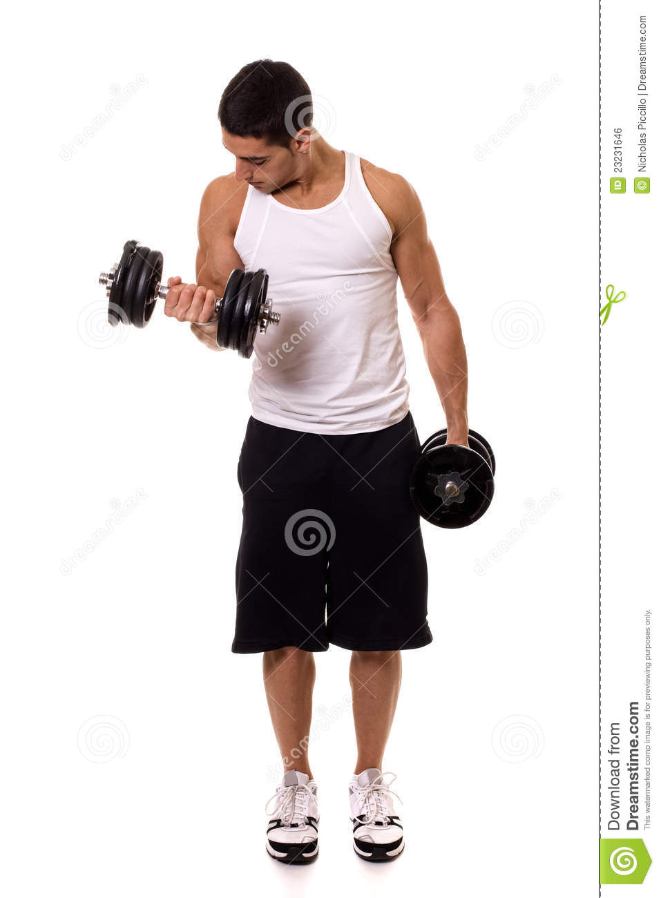 Bicep Curl Clipart Biceps Curl Exercise 