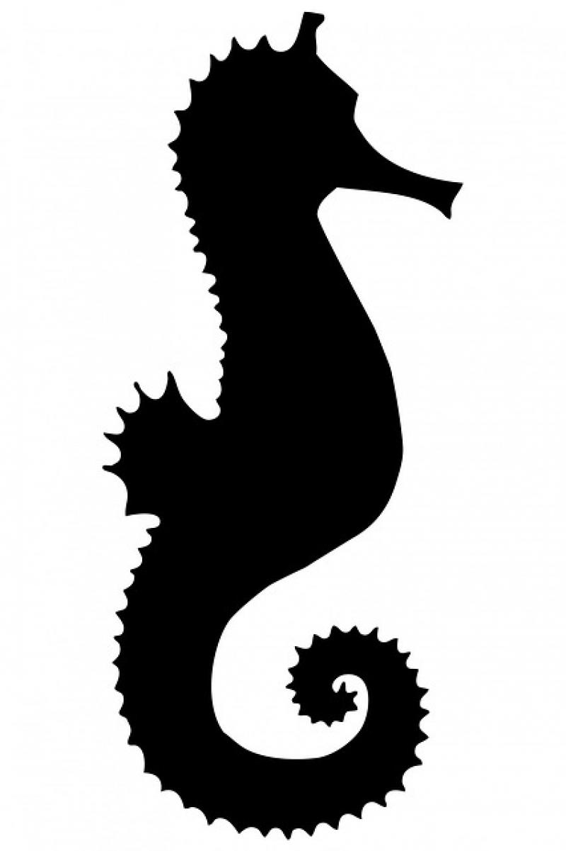 Seahorse Black Silhouette Shape Clipart   Public Domain Pictures
