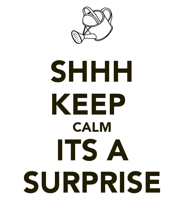 Shhh Keep Calm Its A Surprise   Keep Calm And Carry On Image Generator