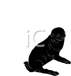 Silhouette Of Baby Sea Lion   Royalty Free Clipart Picture