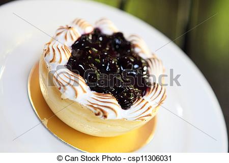 Blueberry Cheesecake Slice   Csp11306031