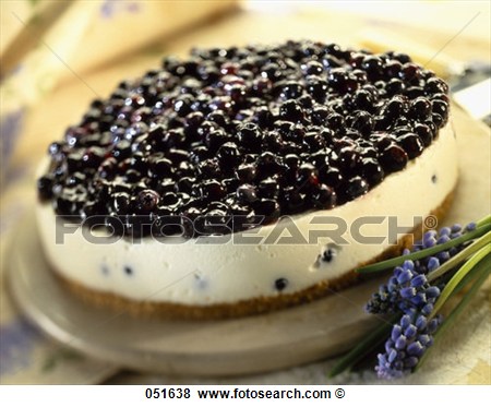 Blueberry Cheesecake View Large Photo Image