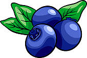 Blueberry Fruits Cartoon Illustration